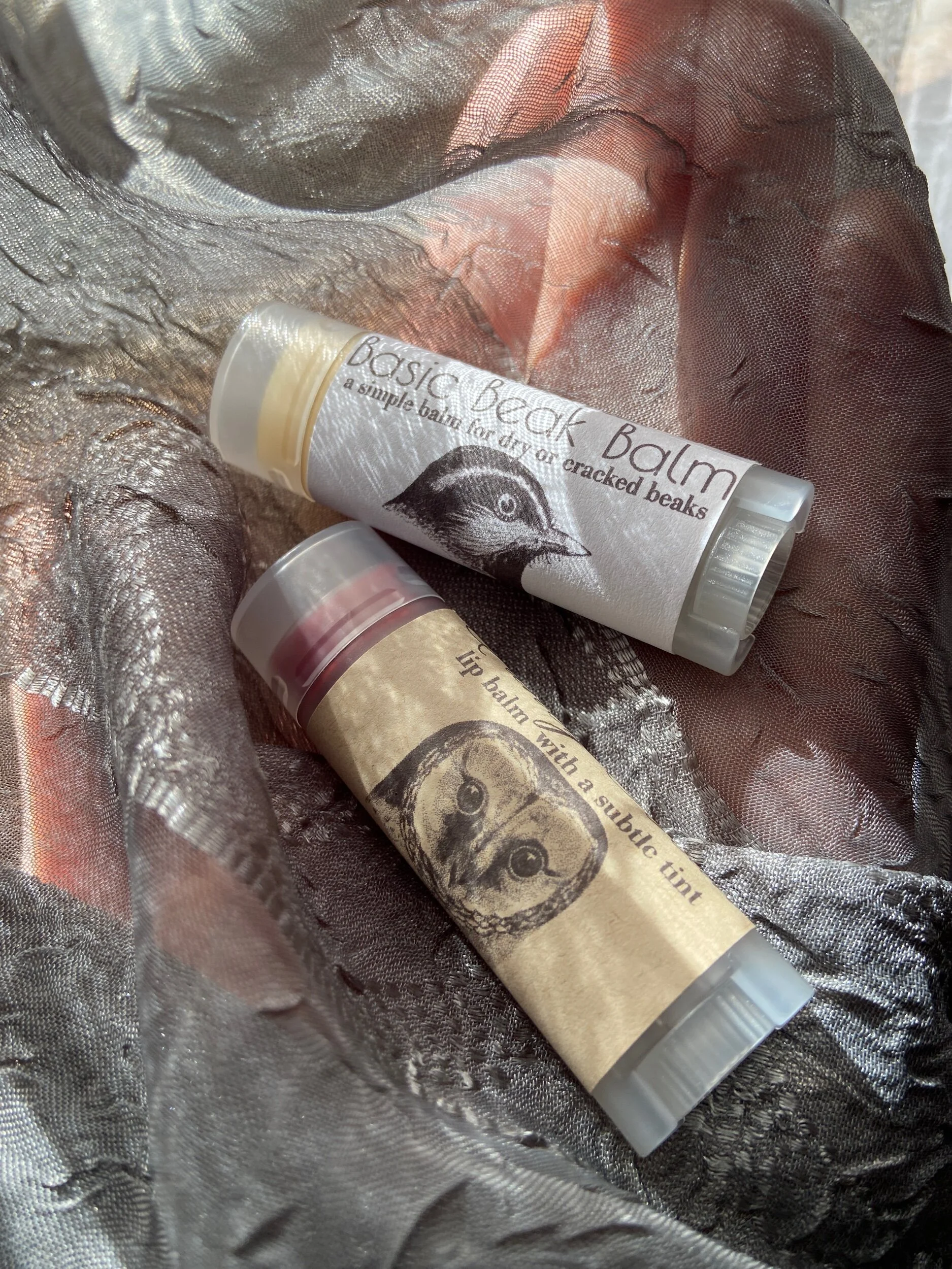 858E20A3-7B24-49A6-83F8-542FA20024AE