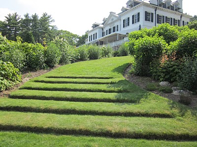 Grass steps