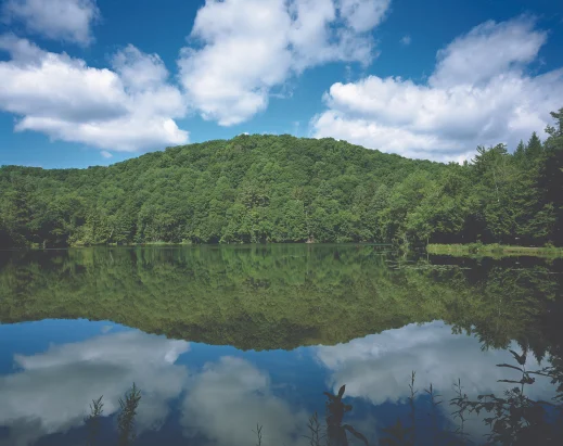 LANDSCAPE DESIGN EXHIBIT IN NYC