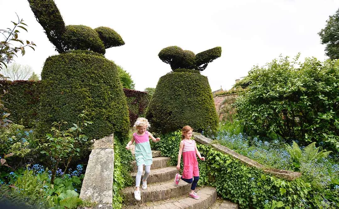 Classical use of blue as seasonal plantings above, with furniture in photo below. Photographed at Hidcote Manor, one of the best known gardens in Britain. Hidcote, is an arts and crafts garden designed by Lawrence Johnston, strongly influenced by Gertrude Jekyll and Vita Sackville West . Hidcote’s outdoor "rooms" have various characters and themes. photos©ToddHaimanLandscapeDesign2016
