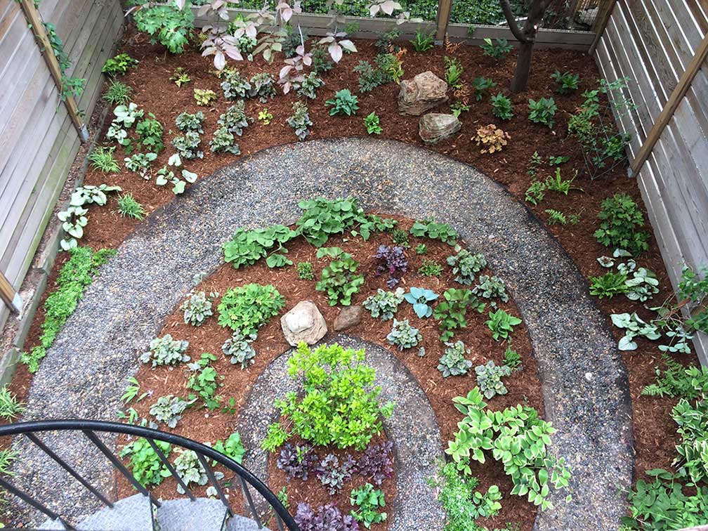This "just planted" predominently woodland native backyard garden behind a Brooklyn brownstone will aid in stormwater retention and provide food for wildlife.