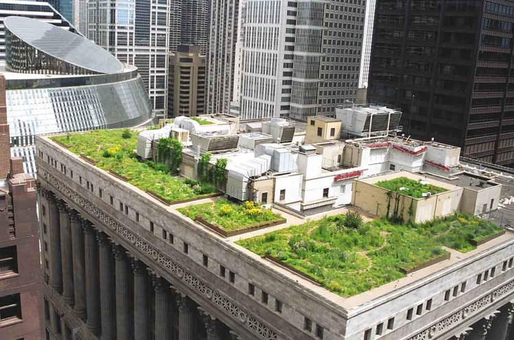 In 1991 As part of an EPA study and initiative to combat the urban heat island effect and to improve urban air quality, Mayor Richard M. Daley and the City of Chicago used City Hall as a showcase to promote green roofs.