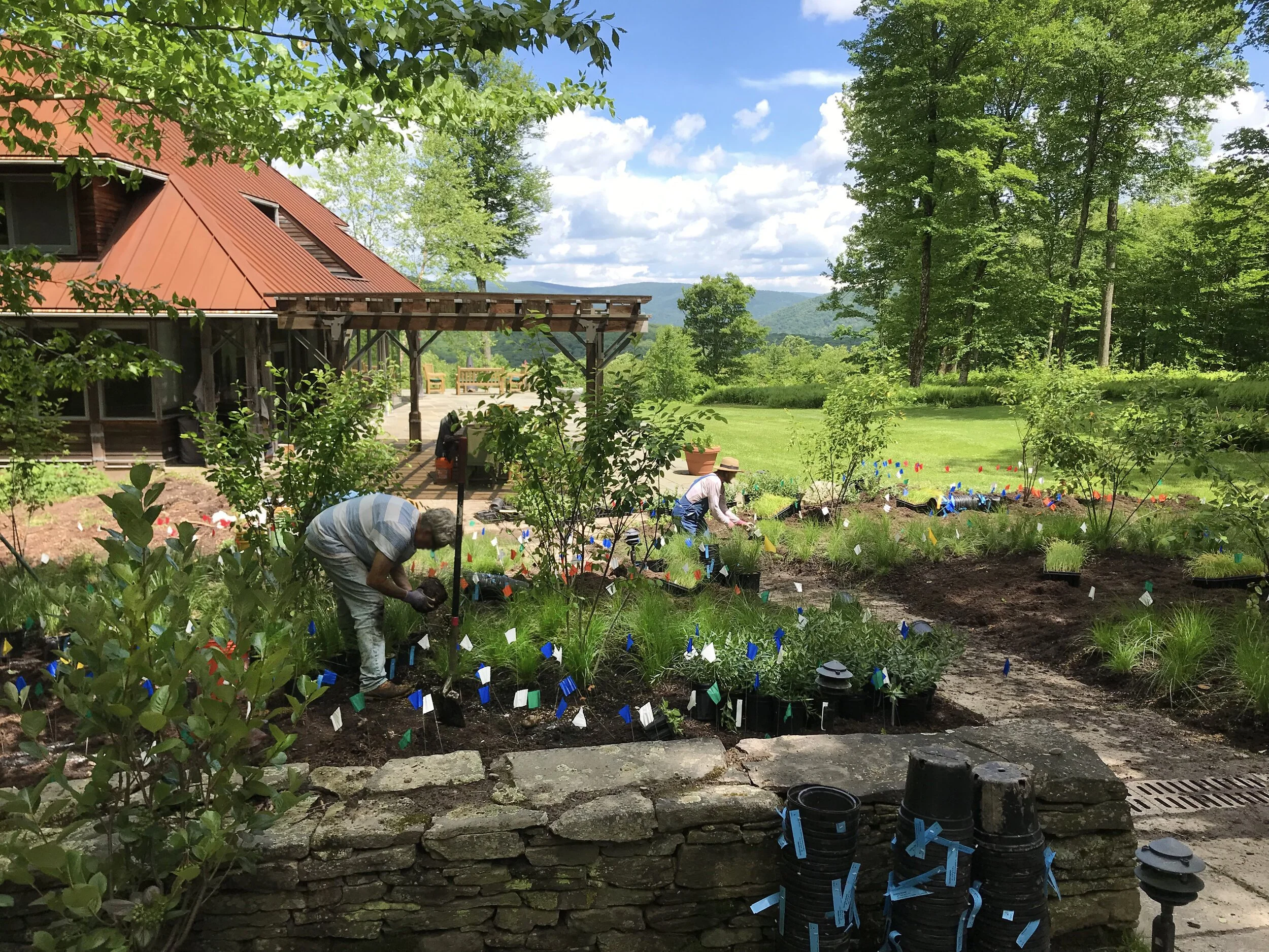 GARDENS HELP US UNDERSTAND OURSELVES AND THE NATURAL WORLD