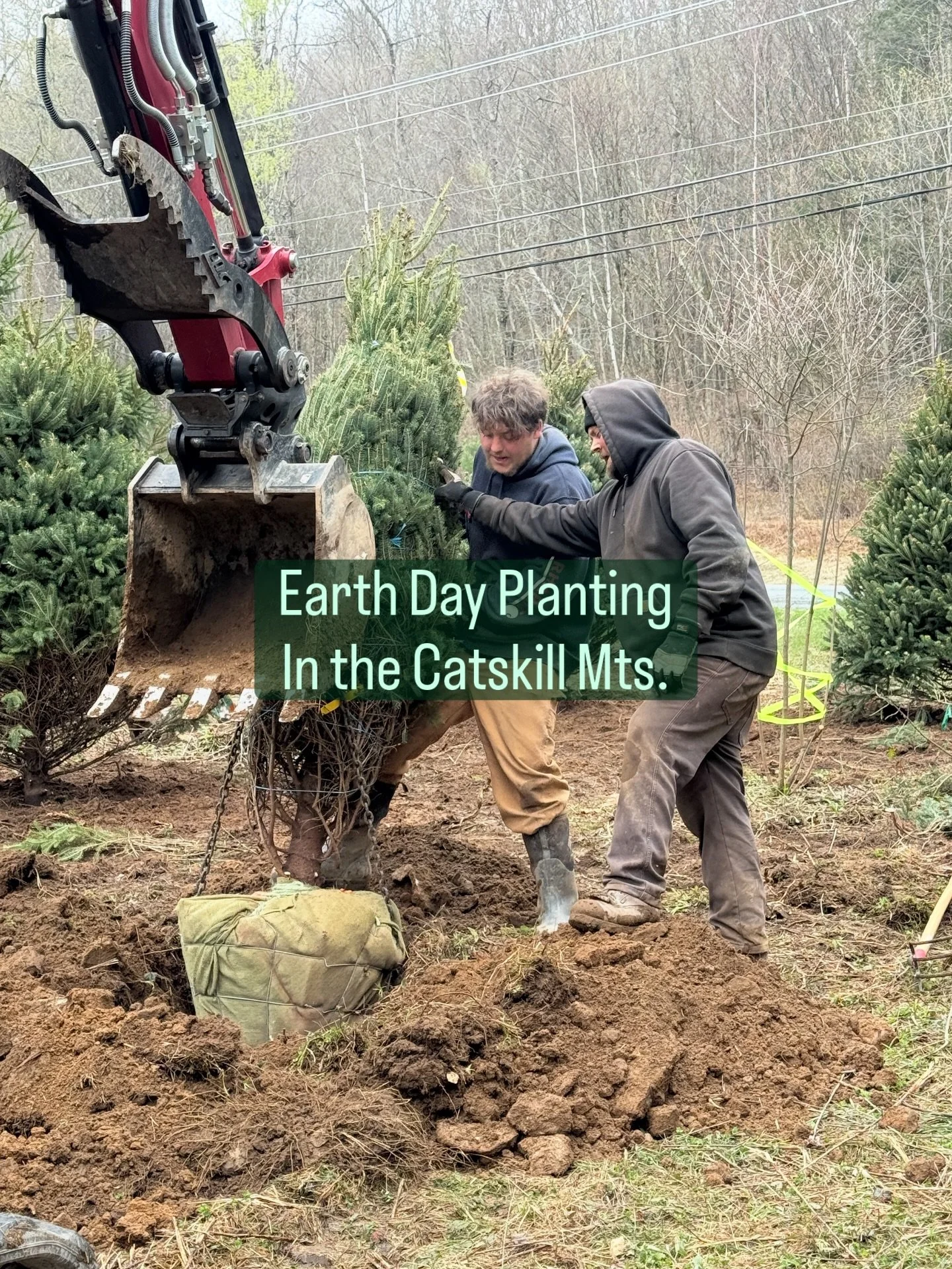 What better way to spend #earthday than #planting #trees ?!?