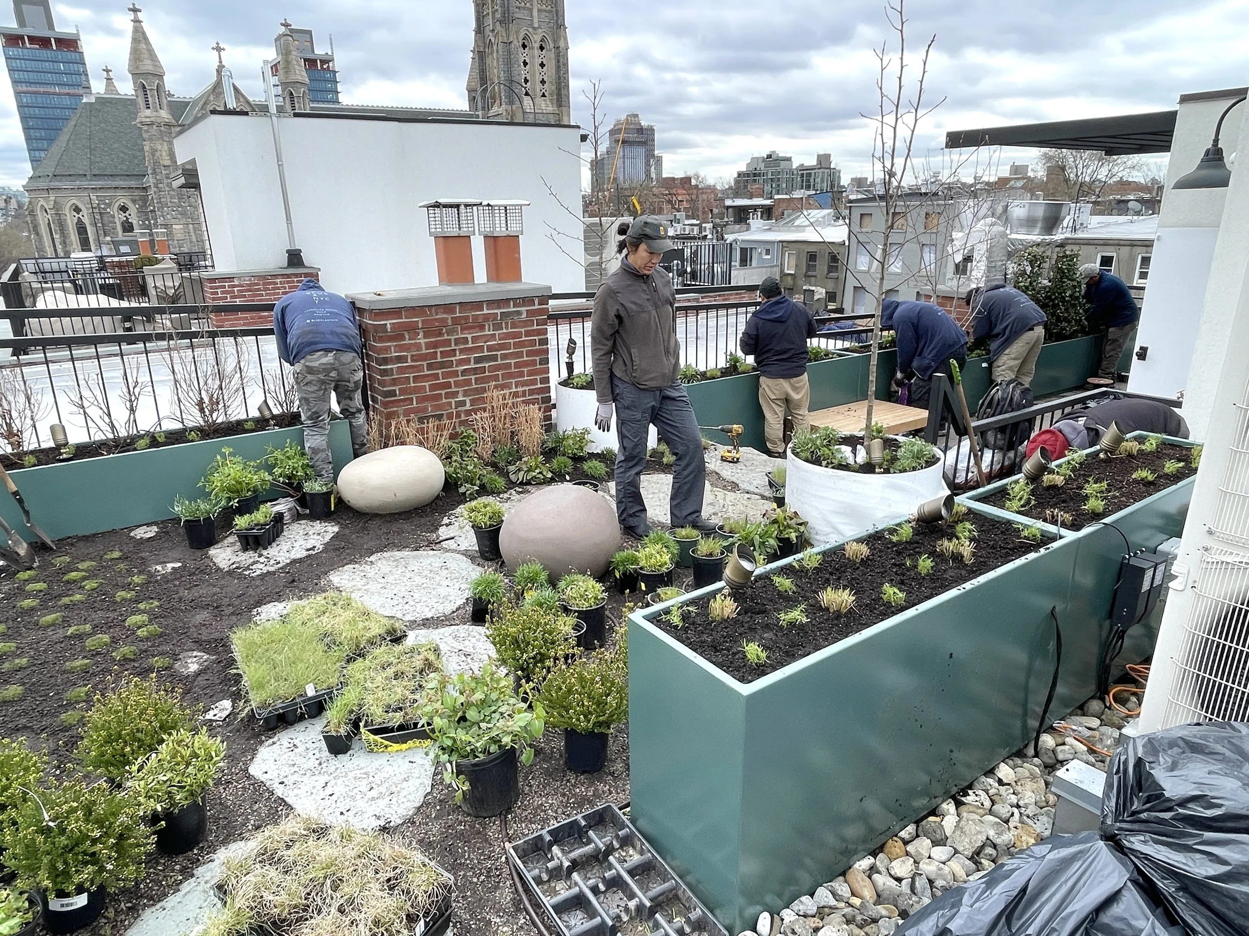 Landscape Designer vs. Landscape Architect: What's the Difference?