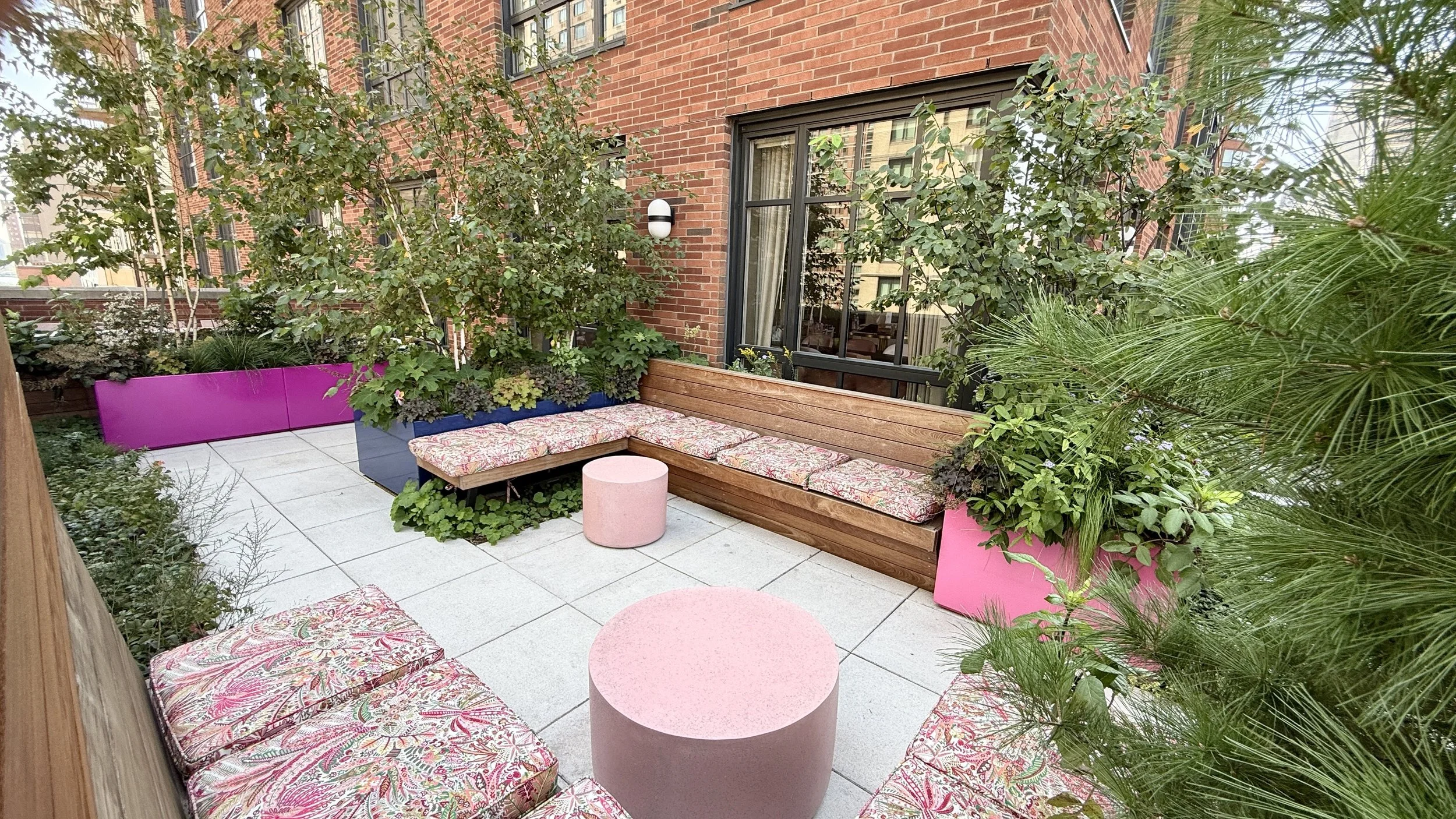 BEST ROOFTOP GARDEN PLANTS