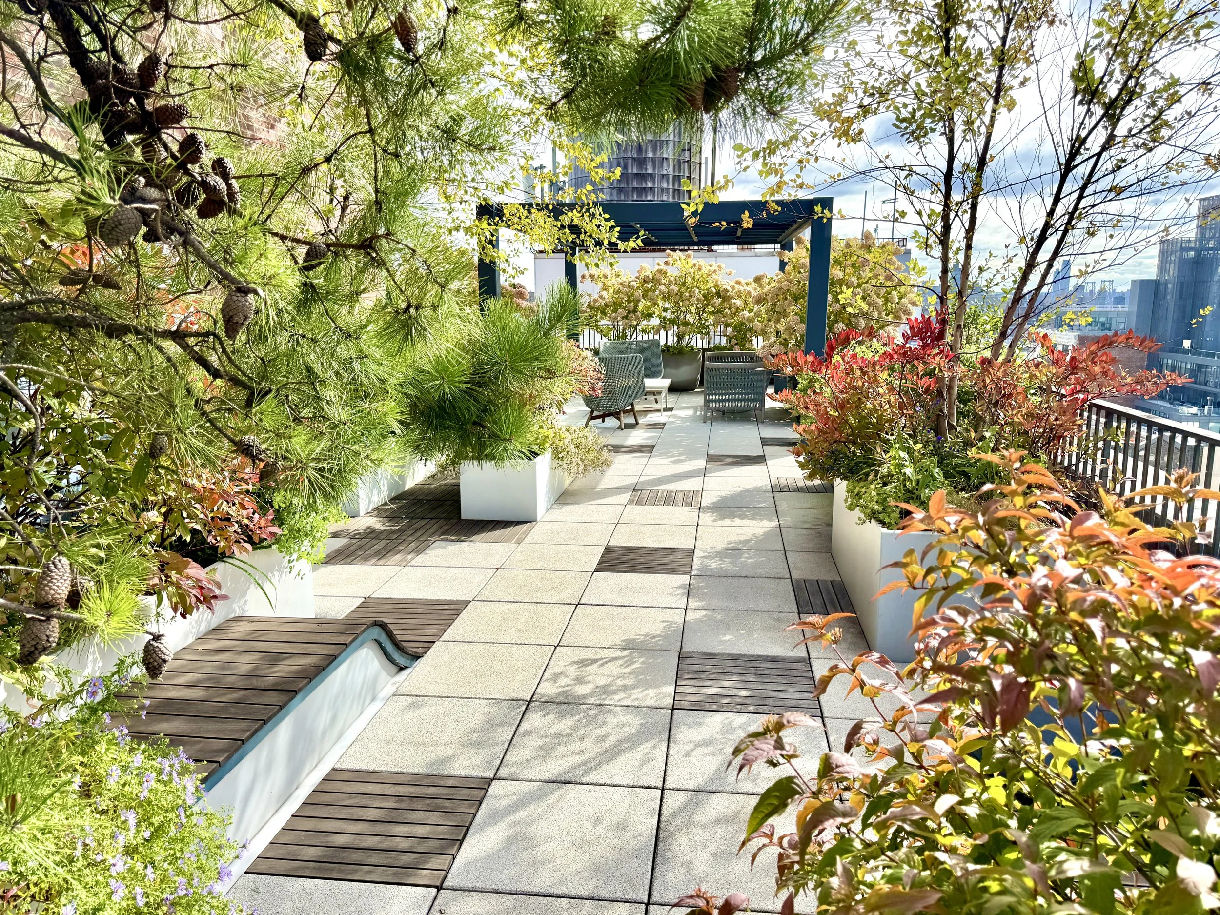  Autumn in New York on a terrace rooftop. Fall foliage 