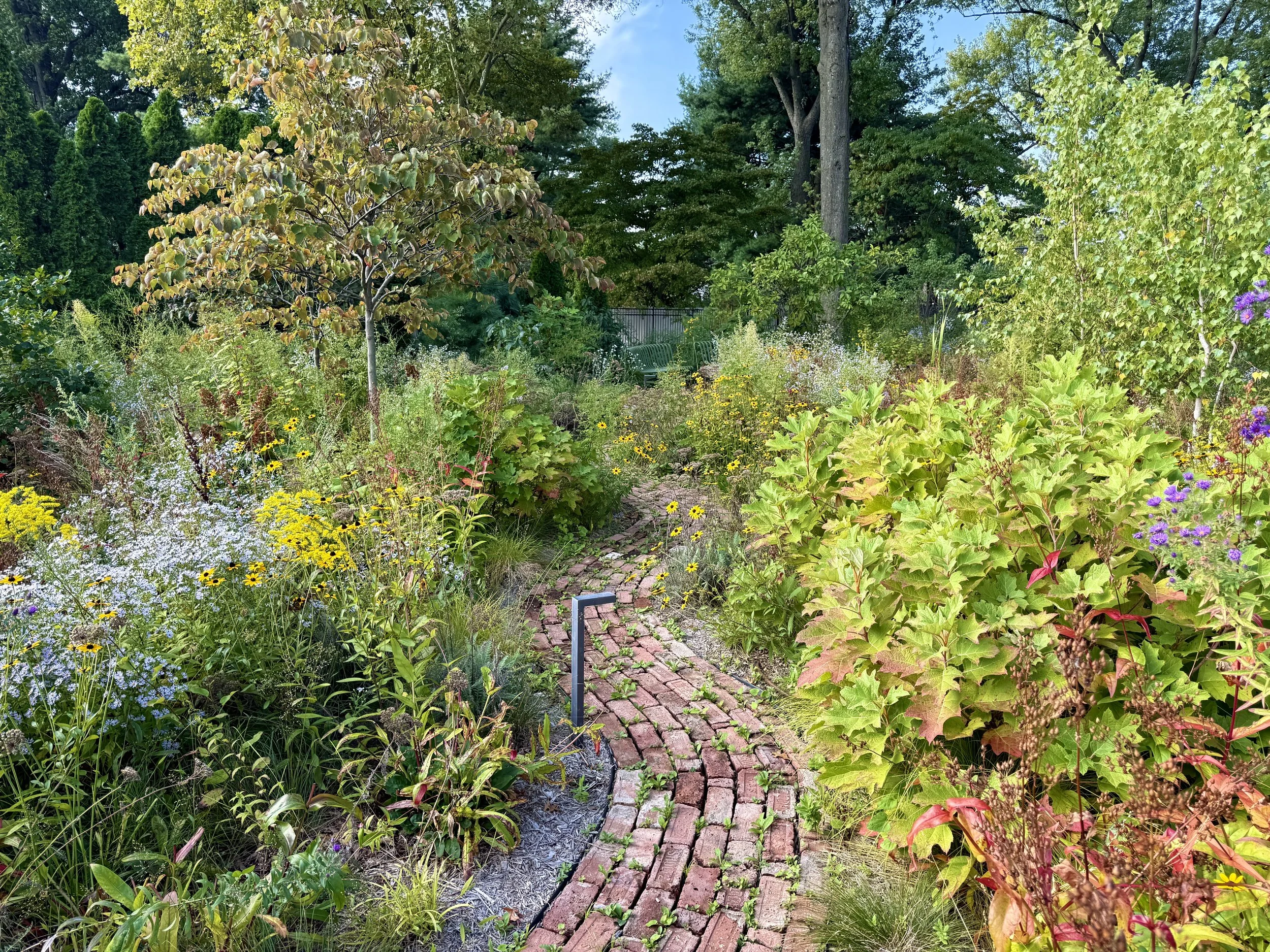 native perennial garden and brick path