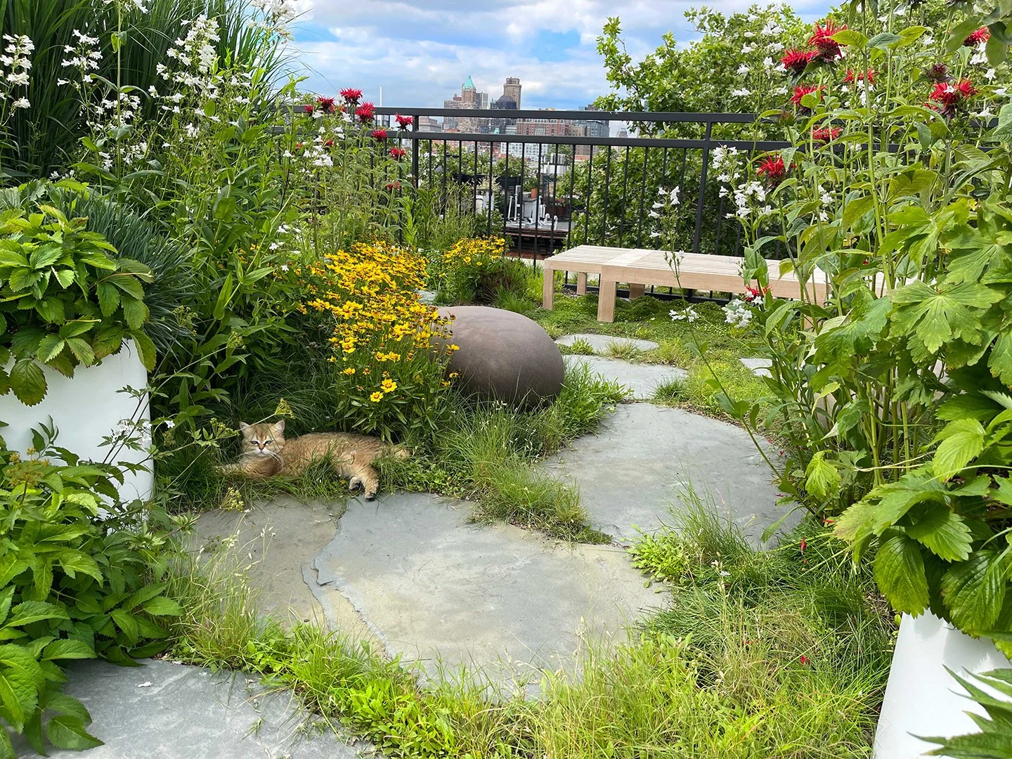 Rooftop Garden Design