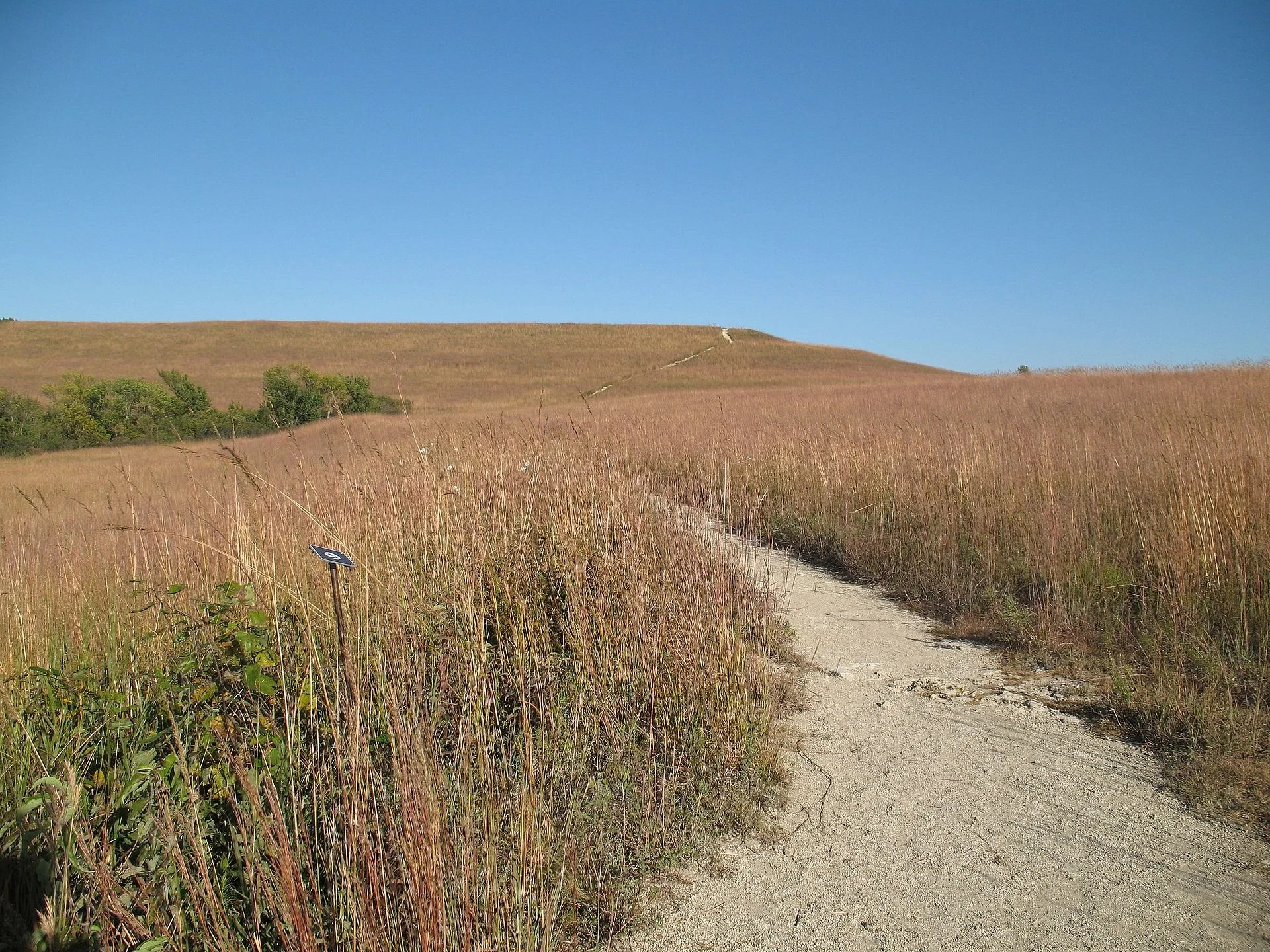 Konza Prairie - A Tallgrass History