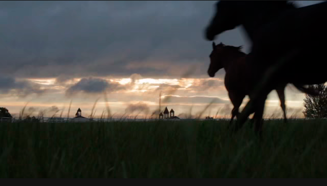 Prudential "Sunrise" National Ad