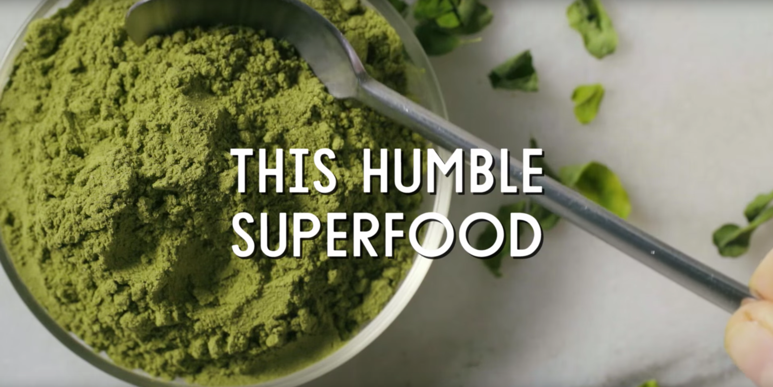 Moringa Food Trends