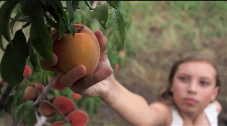 Peaches | Summer Memories | Whole Foods Market