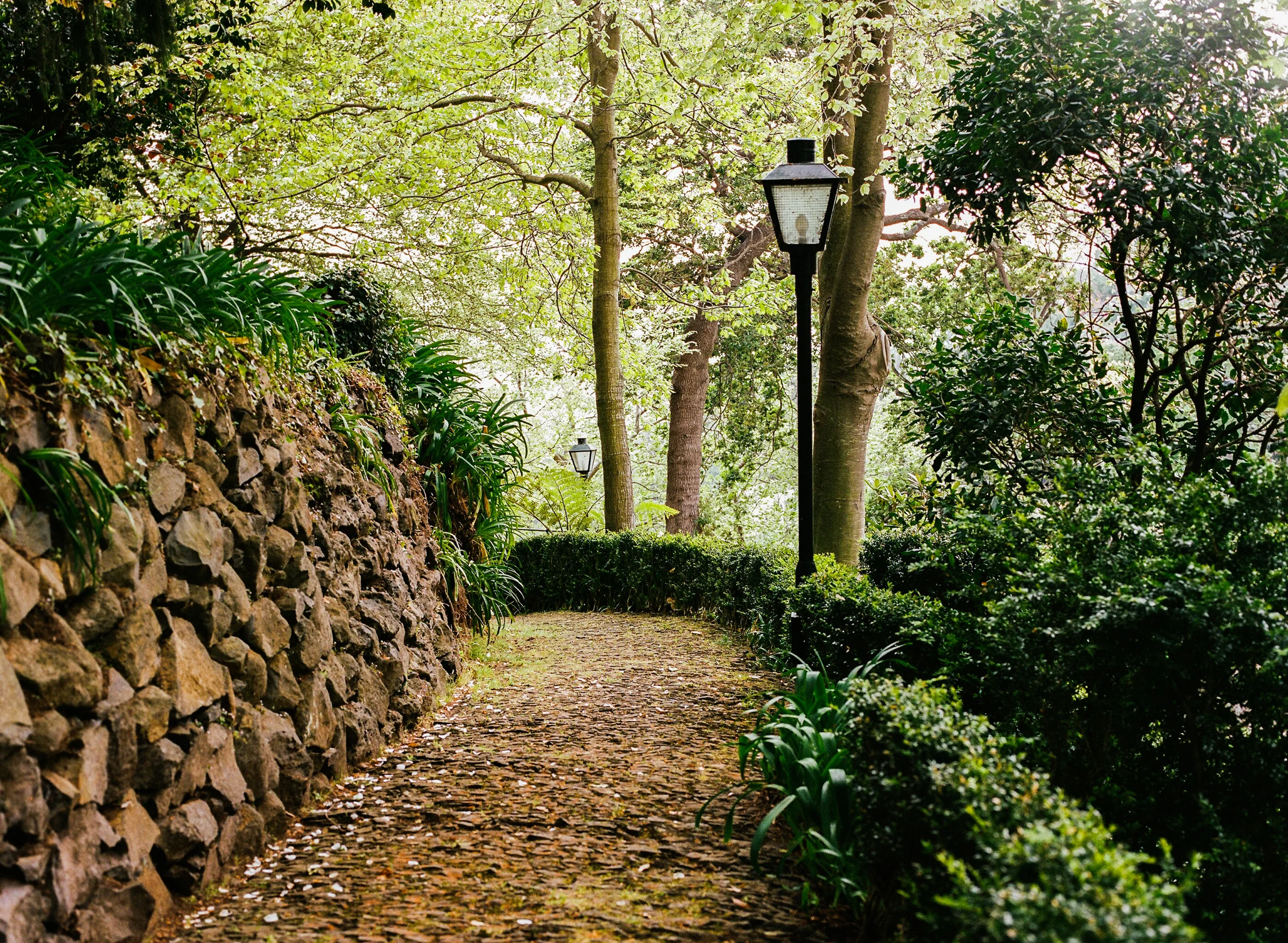 Down the Path