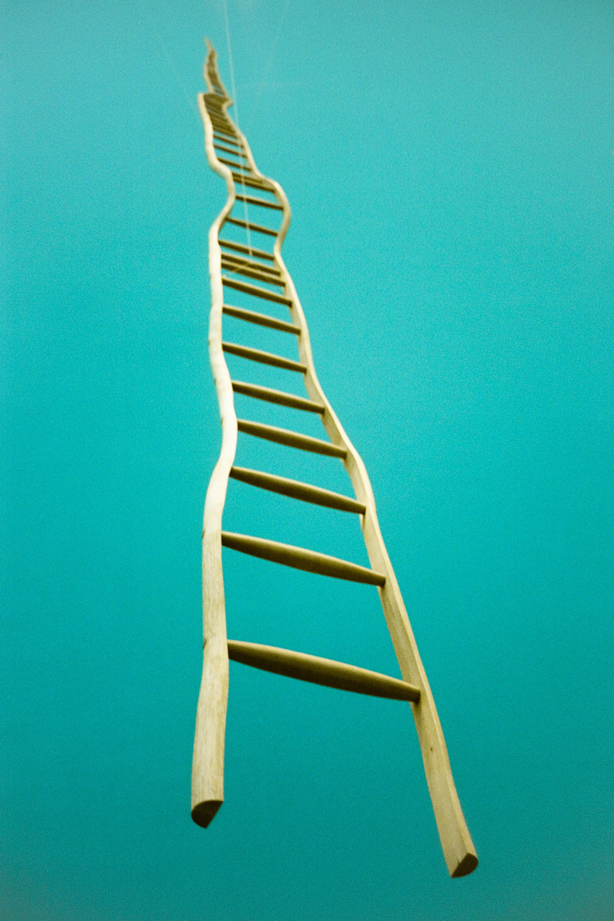 The Climb