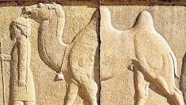 Do camels prove the Bible is wrong?