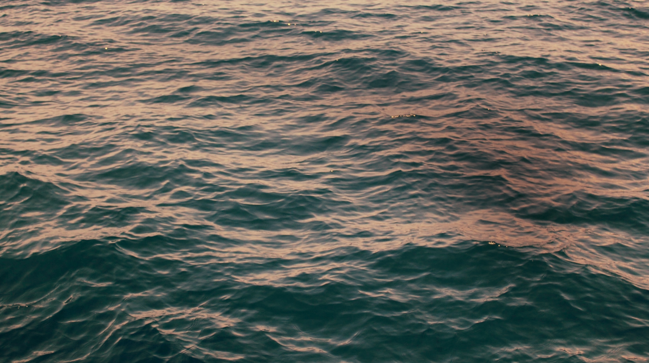 AXx3QORhRDKAMrbb8pX4_photo 2.JPG