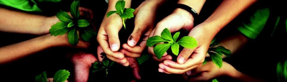 banner1-hplants-for-future.jpg