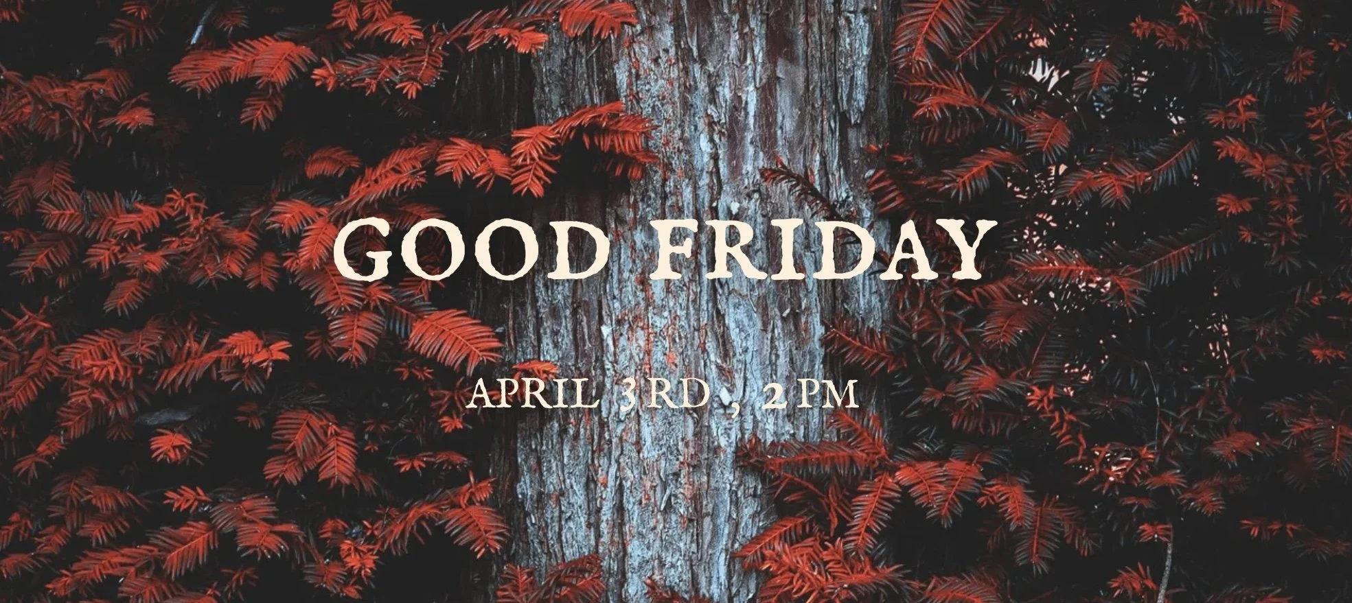 Image 2026-03-11 at 4.42 PM.jpg