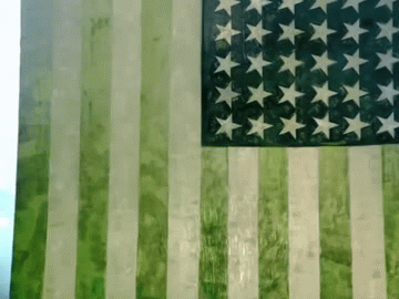 MV_Greenday American Idiot.gif