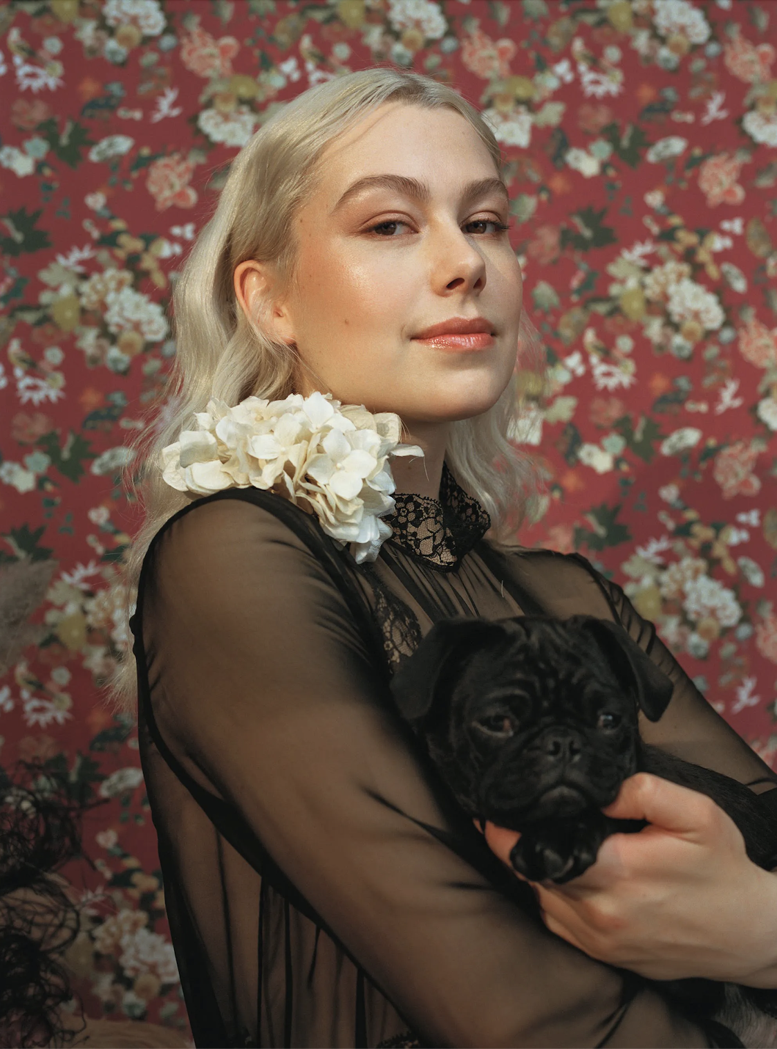 Screen Shot 2022-08-26 at 5.37.35 PM.png