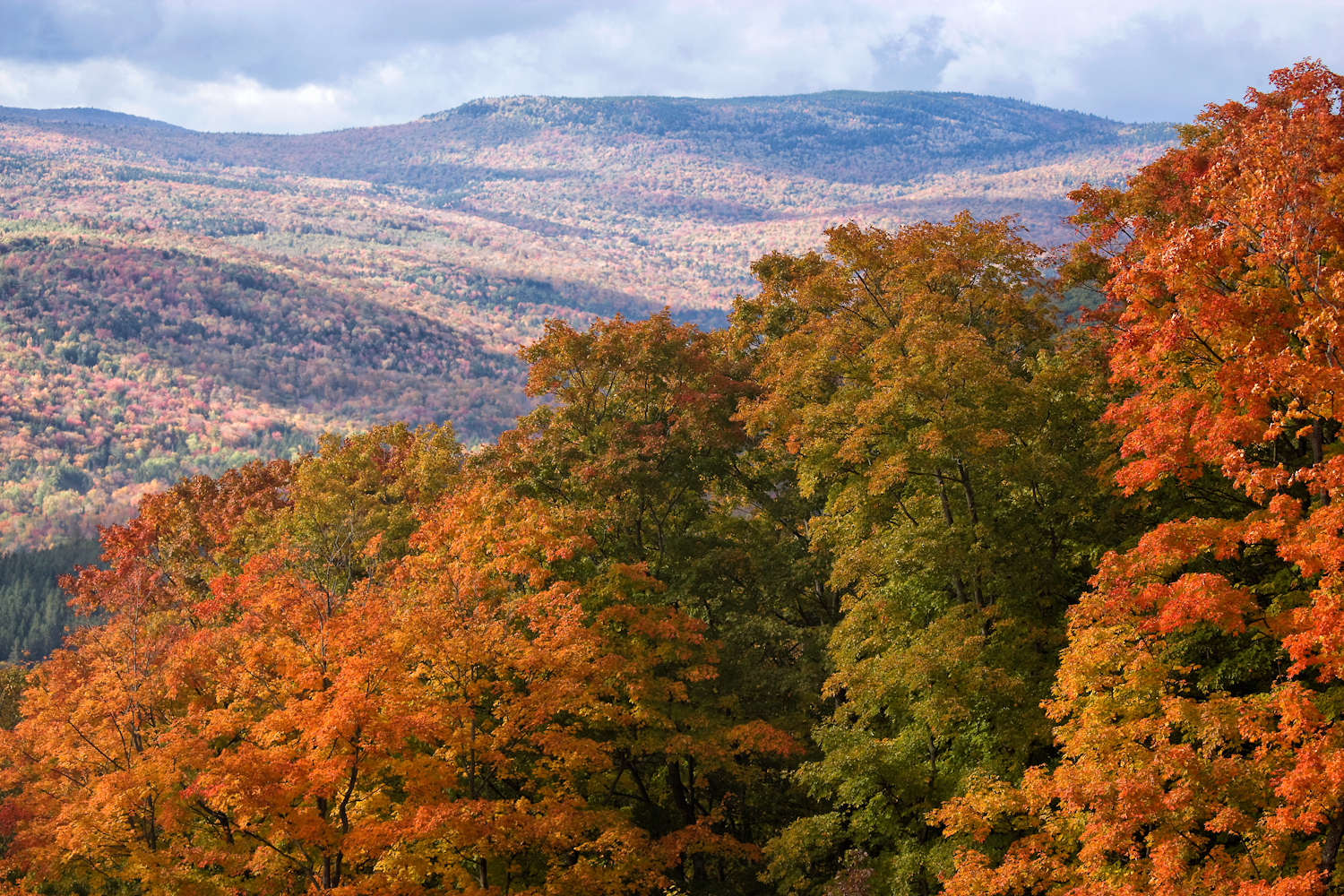 Foliage_20091005-YL3K6475-Edit-Edit.jpg