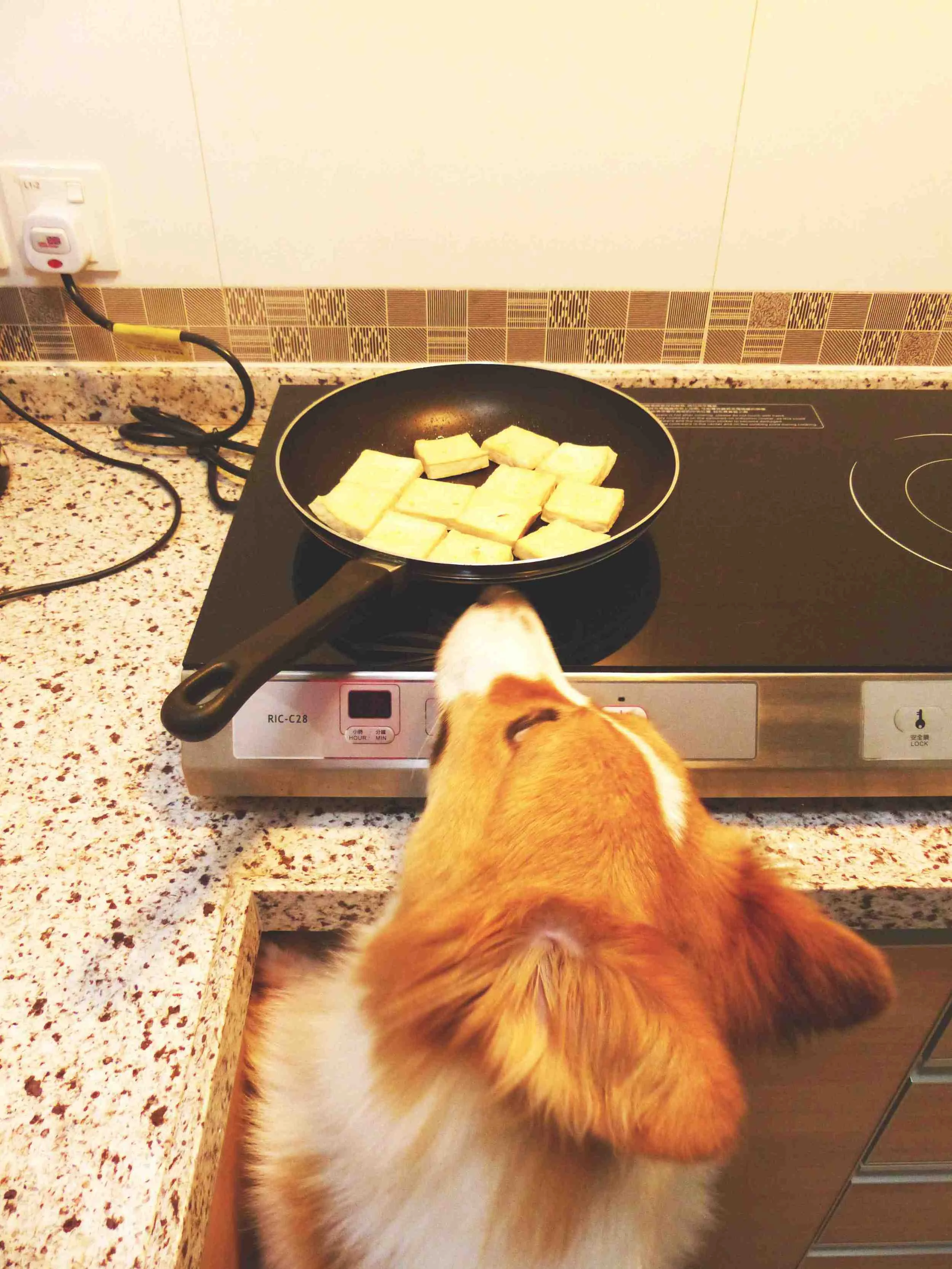 Romie aka Romeo was trying to photobomb while I was taking the cooking steps shots.