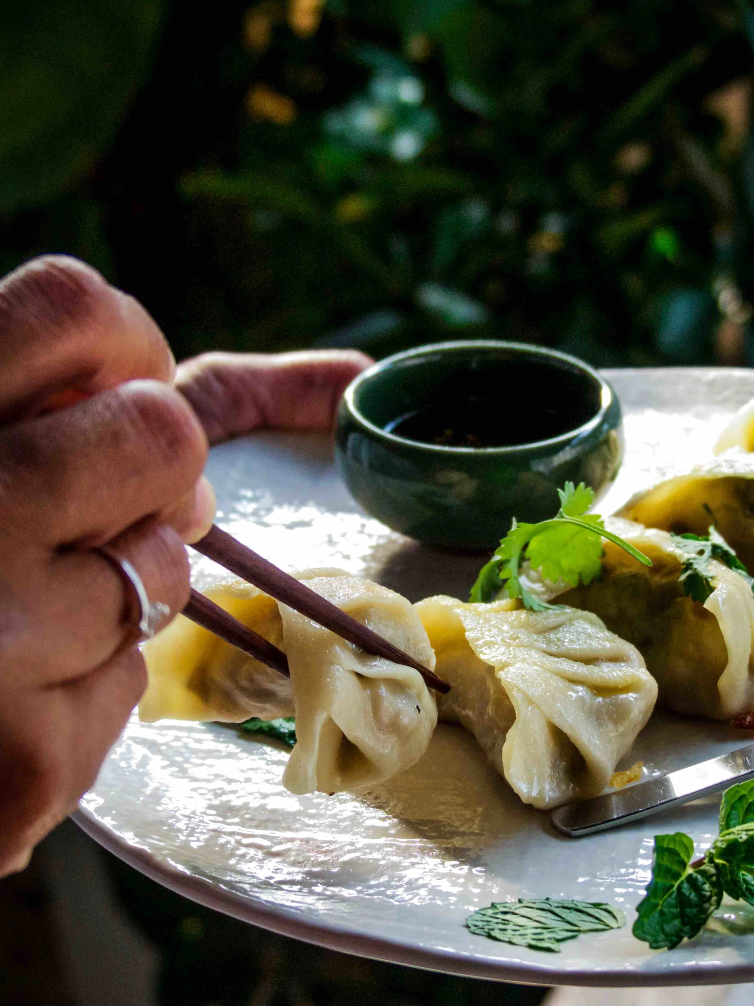 mushroom dumplings with mint pesto 