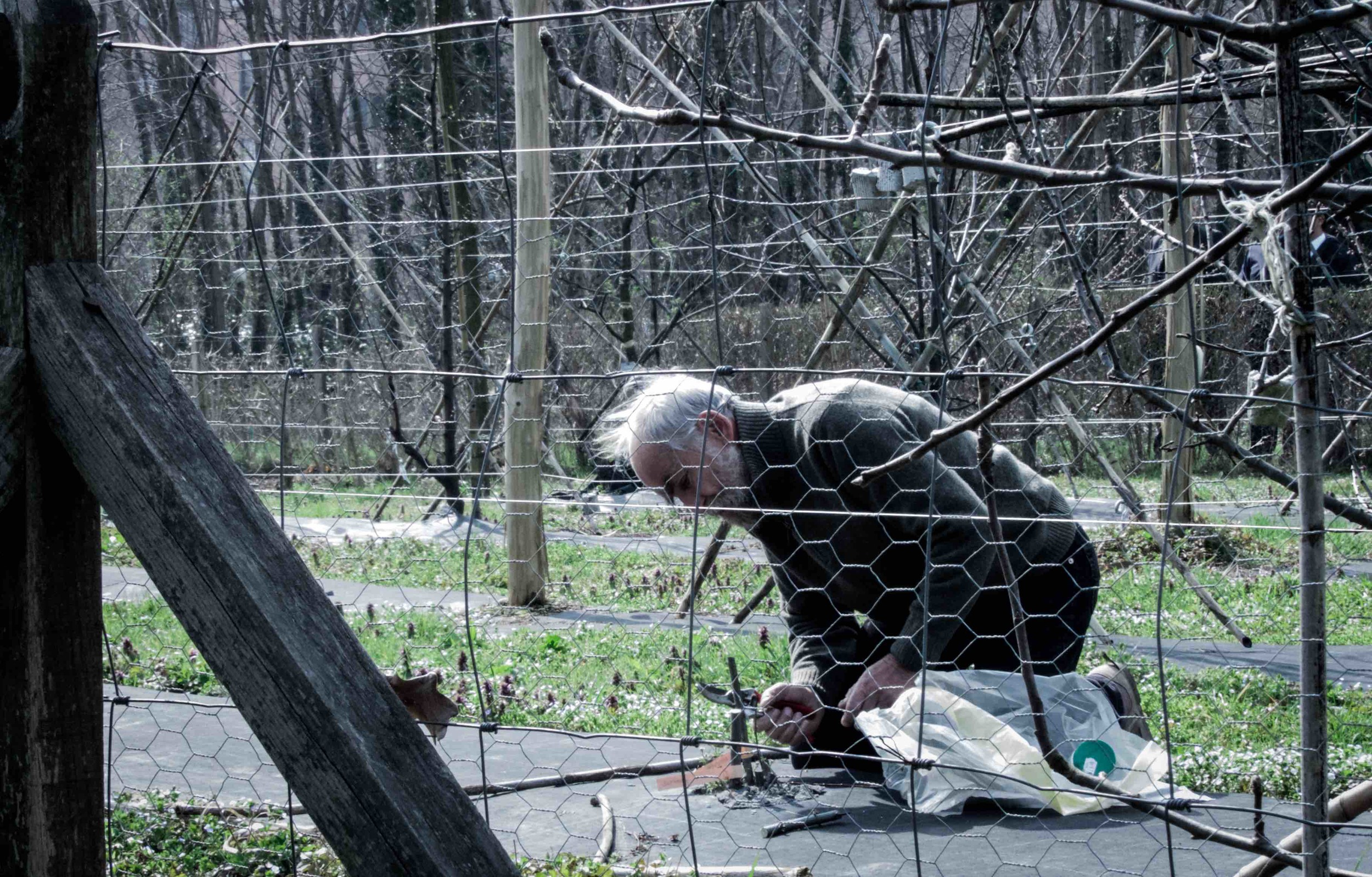 What's lovely about these urban gardens is that they are assigned to citizens through a call for tender following specific criteria. Many senior citizens, young students, families, and even foreign communities can participate to carry out a variety of social missions. Everyone is there to underline the importance of food and horticulture. 