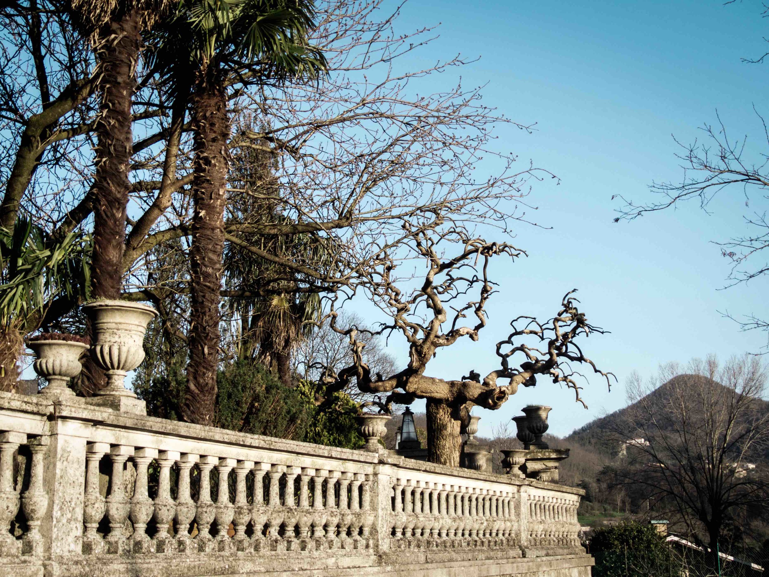 Marco told me that Veneto used to be the wealthiest region of Italy. This is why we see so many old villas around. Can you imagine what it was like a hundred years ago? 
