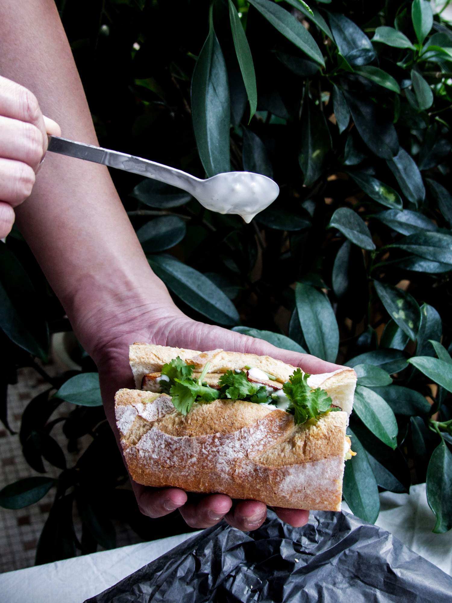 Vegetarian Banh Mi