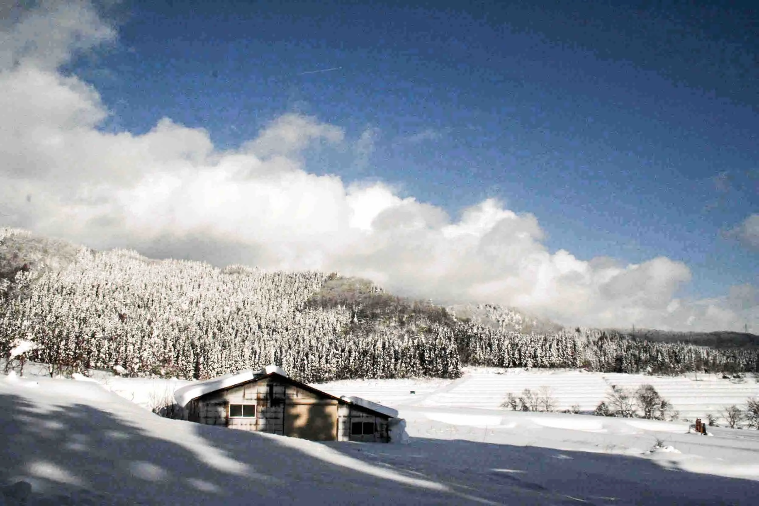 This is the only photo of Fukushima that I could find in my hard drive. It really was a beautiful place. 