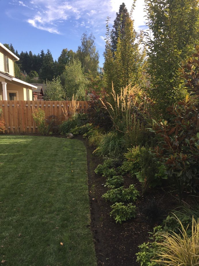 Grasstains Installs Sod Lawns Portland