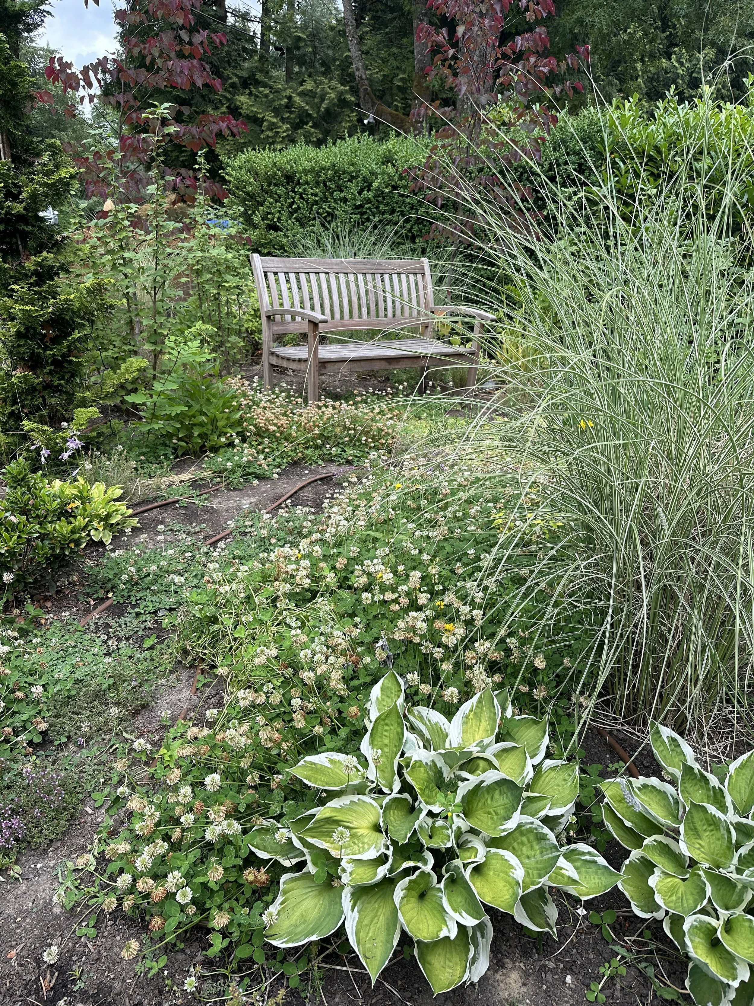Landscaped yard with bench in Lake Oswego Oregon