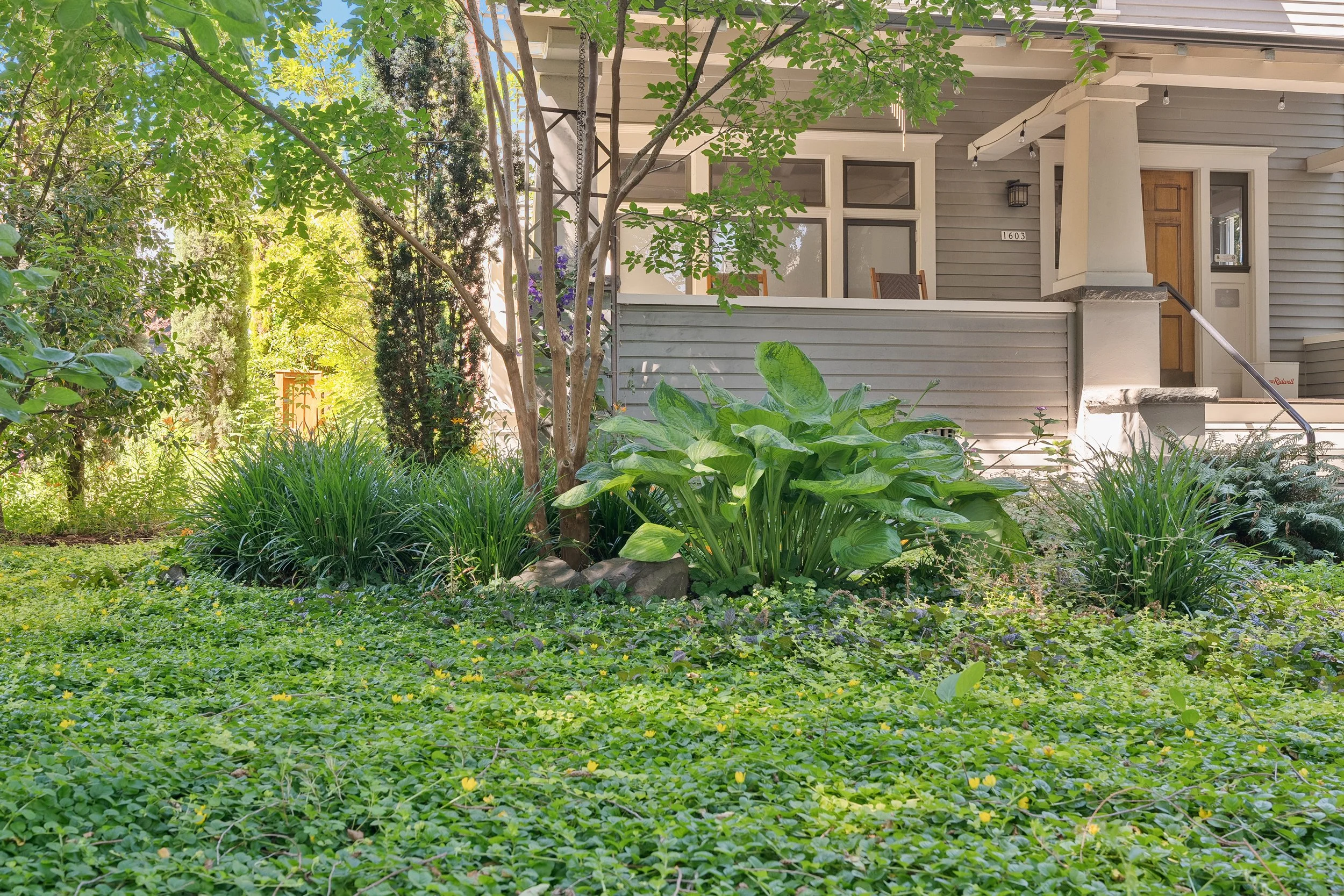 SE Ladd_Web Size_16.jpg