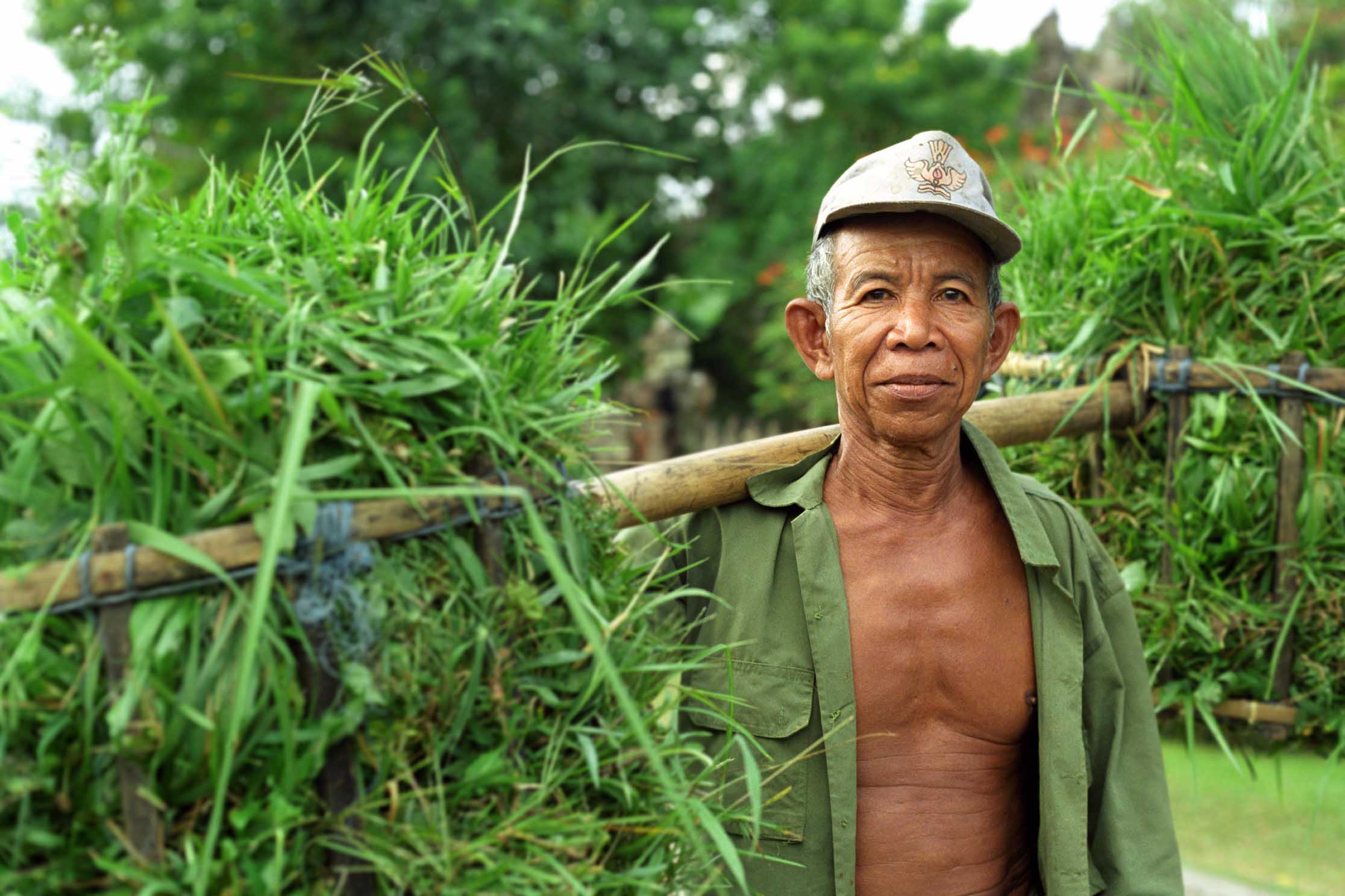 Farmer at work, Bali, Indonesia