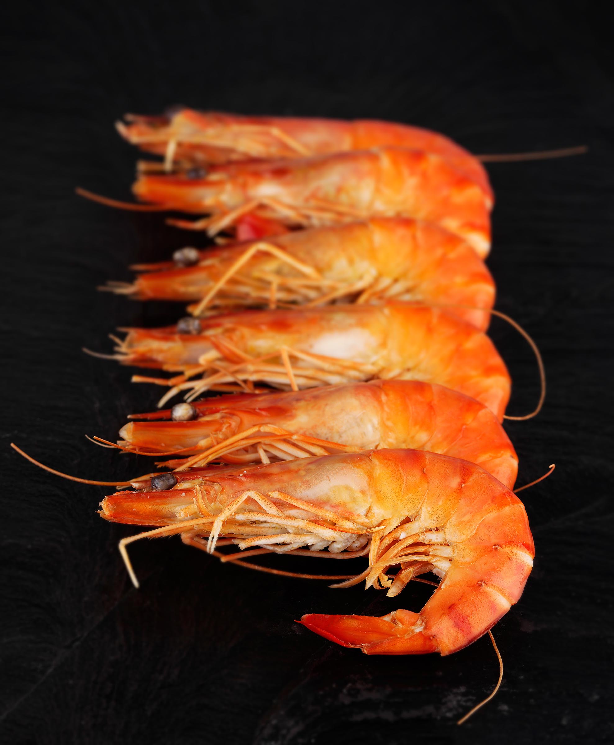 prawns.jpg