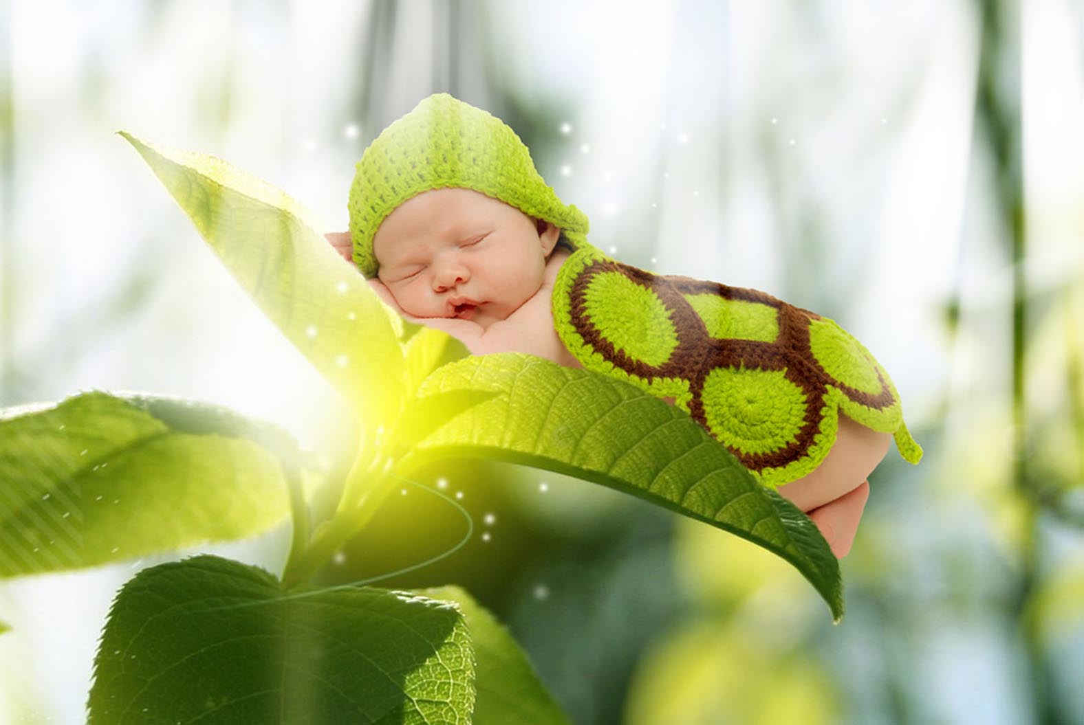 pepper on leaf rays.jpg