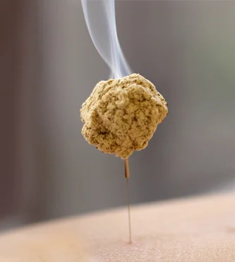 moxa-on-acupuncture-moxibustion.jpg