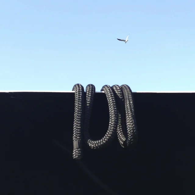 15a.jpg