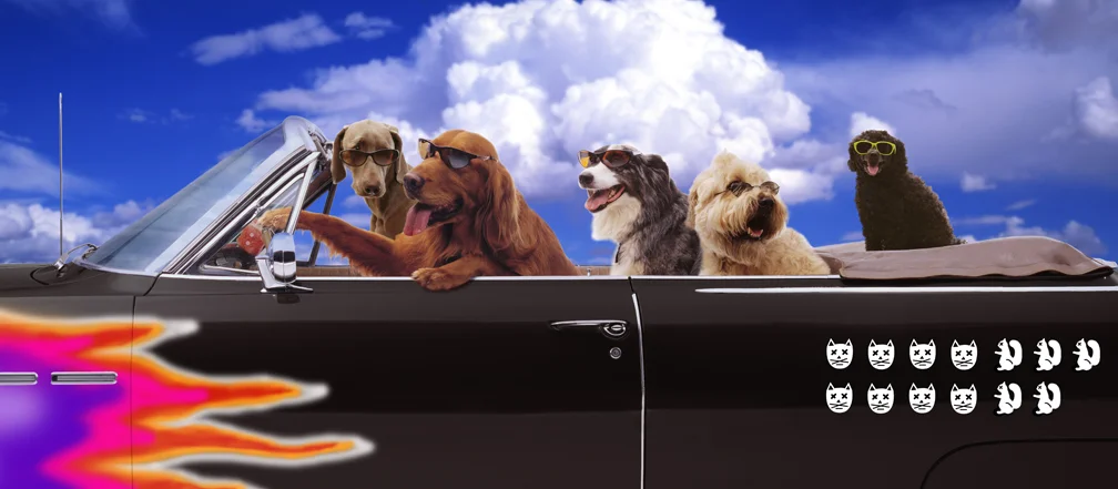 BadDogs.jpg
