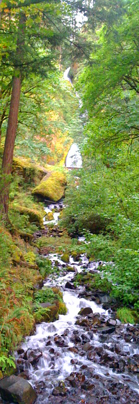 Falls 1.jpg