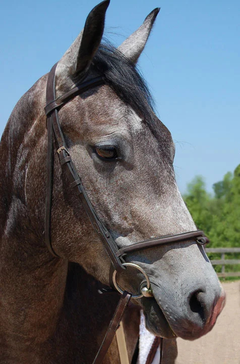Hickoy-head-shot.jpg