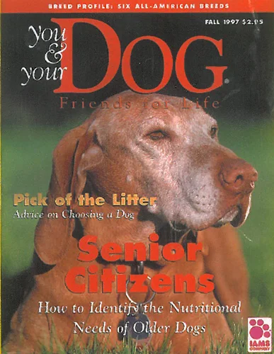 Iams.jpg