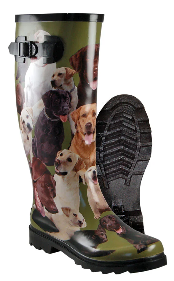 6839100-Spring-Lake-lab.jpg