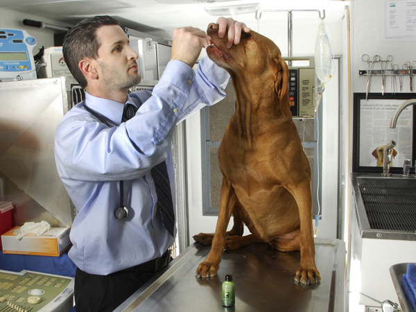 El veterinario Douglas Kramer con uno de sus pacientes.