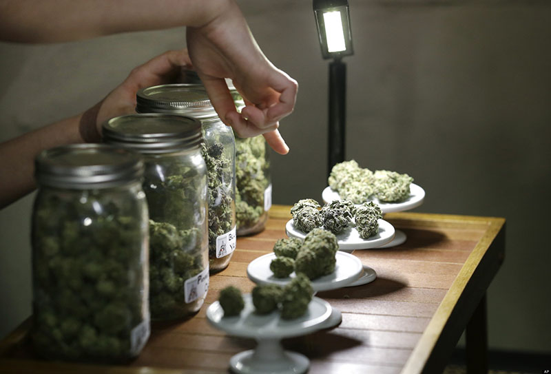 Es importante que el dispensario esté a la vanguardia y disponga de los diferentes tipos de cannabis actuales.