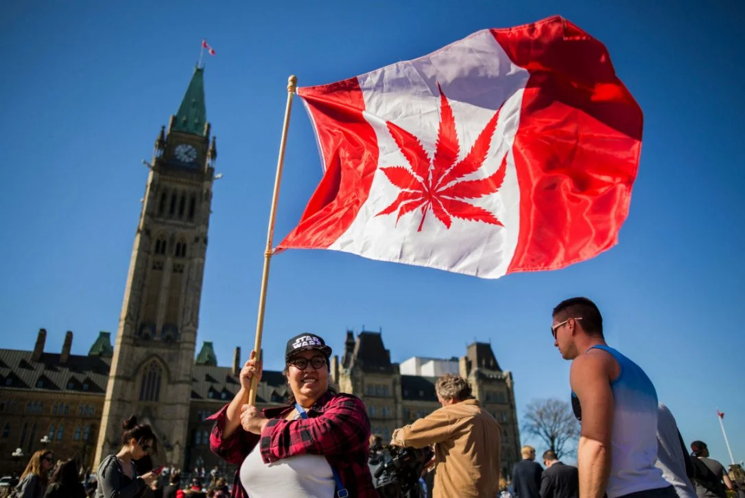 Una mujer sostiene una bandera canadiense con una hoja de cannabis durante la celebración del día de la marihuana el 4 de Abril de 2016 frente al parlamento de Ottawa, Canadá. Fuente: AFP.