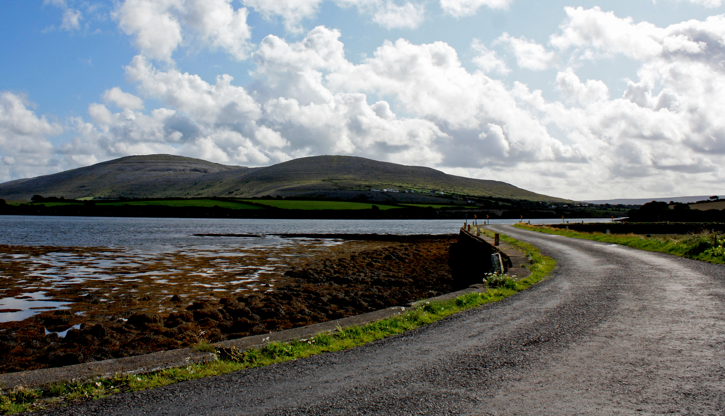 Noel Byrne Photography collaborated in the SongBook project by providing all the fabulous snaps in the book. 