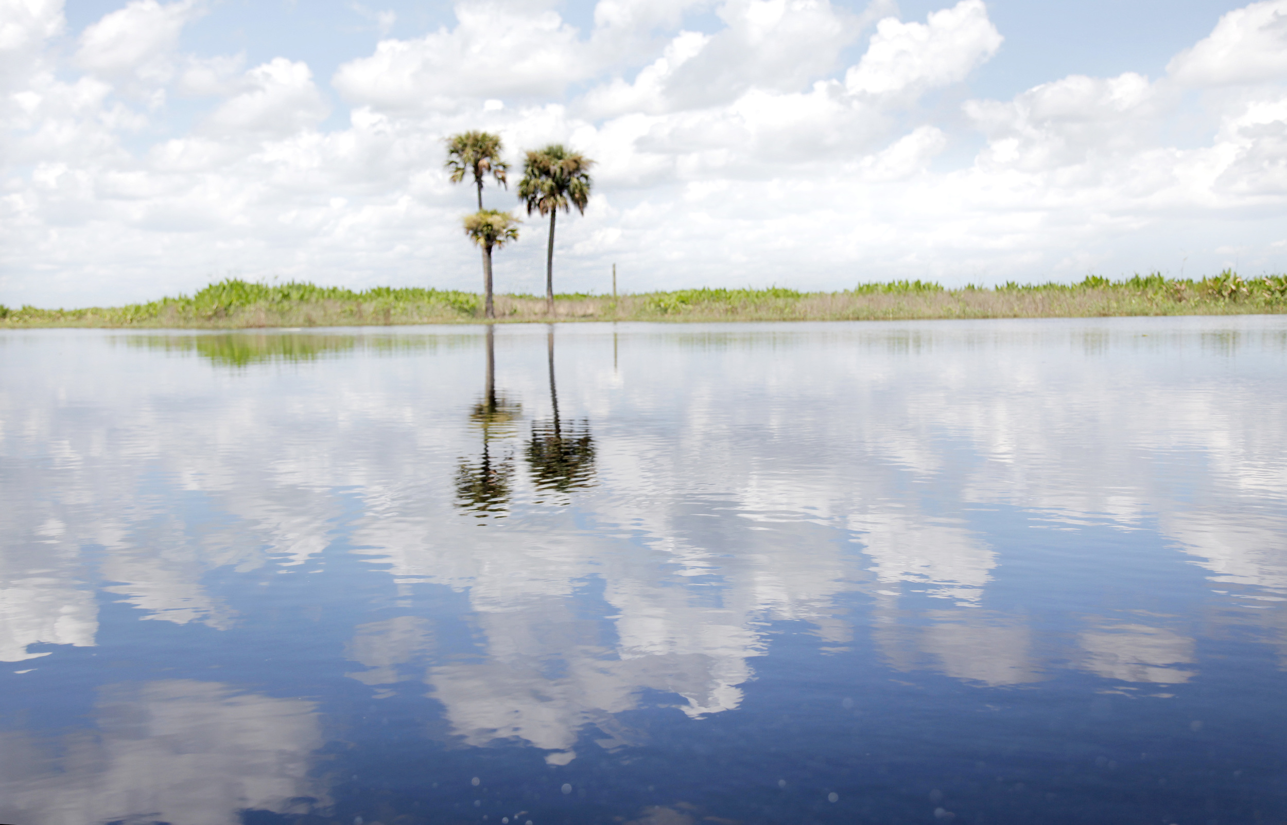 florida_1.jpg